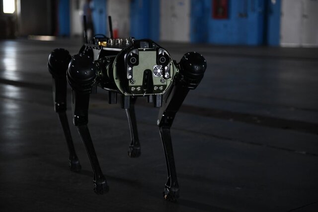 گشت‌زنی سگ‌های رباتیک
